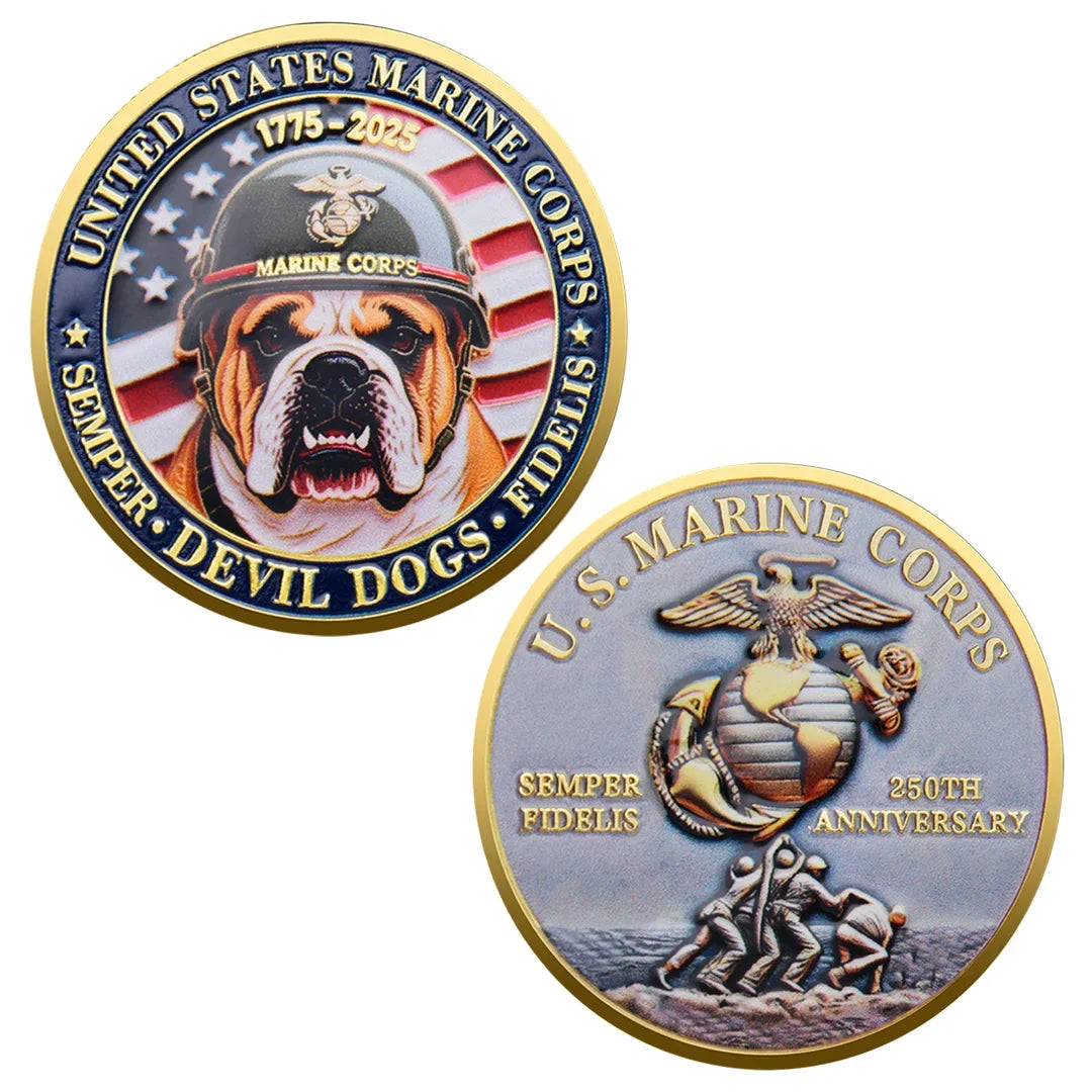 USA 250th Anniversary Coin